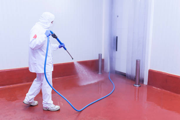Best Restaurant Pressure Washing  in North Boston, NY